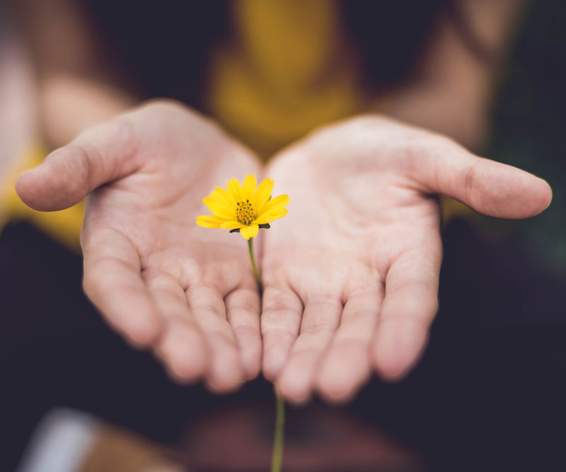 Mindfulness Lessons