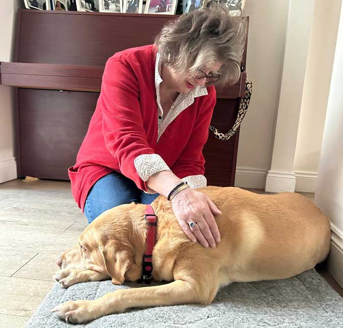 holistic-therapy-reiki-for-pets